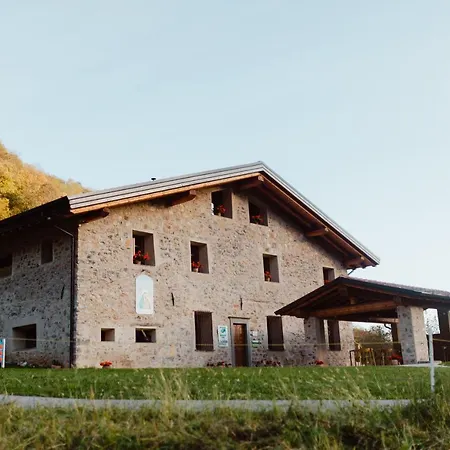 Piane