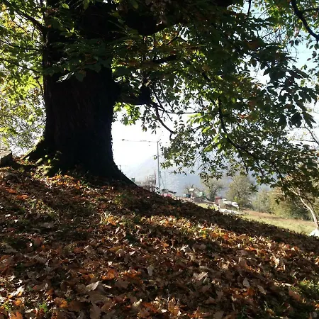 Piane * Ono Degno