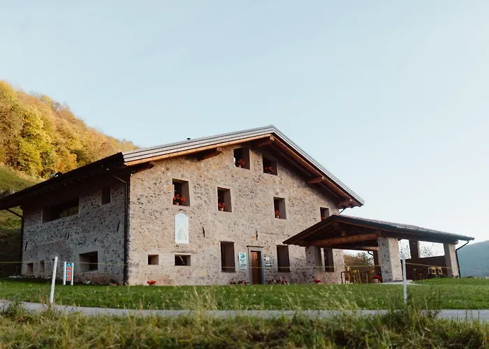Piane