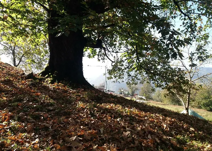 Piane * Ono Degno