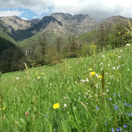 Alloggio per agriturismo Piane *